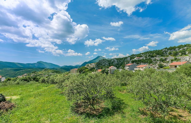 House Cattleya - Photo 33