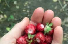 ElleCi Casa Vacanze - Photo 77