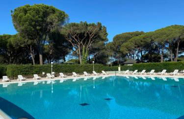 Domaine Valescure vue Piscine ou Pinede - Wifi - Foto 1