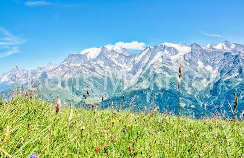 Chalet Pylone - Chalet Pylone MAE-5198 - Photo 14