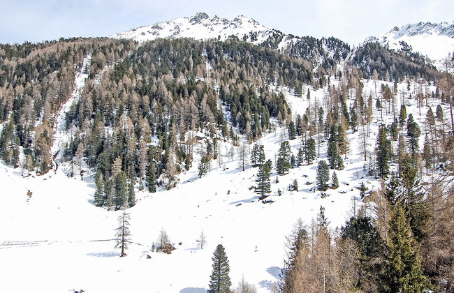 Mont Fort 55 - Foto 26