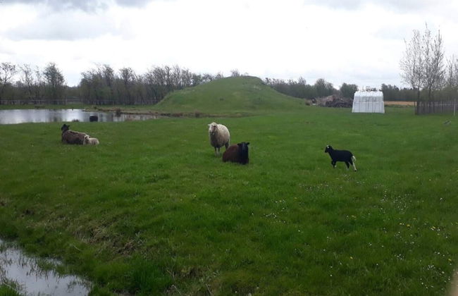 4 Person Holiday Home in Ansager-by Traum - Foto 30