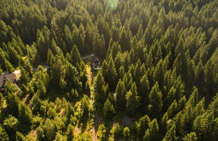 Holiday Home Kuća Ulaga - Foto 11