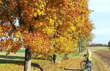 Ferienidyll Aumühle "Muswiese" - Foto 58