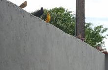 Casa bem te vi - Foto 28