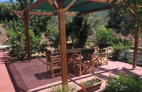 Molivos Hills Apartments - Foto 19