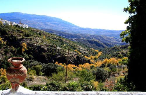 Cortijo Buena Vista - Photo 35