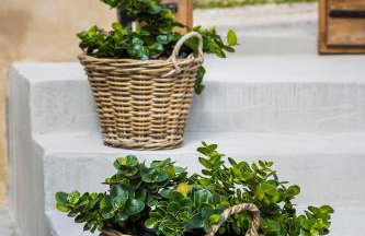 Villa Daniela - Saint Nikolas Retreat - Foto 7