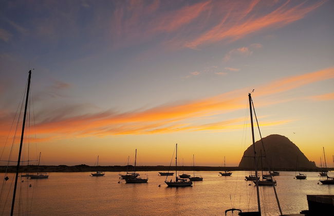 Gray's Inn & Gallery - Foto 71