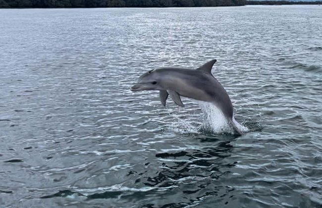 Balade en bateau sur la rivière Port Adelaide - Photo 7