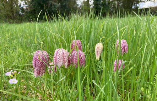 The Old Workshop, Wadhurst - Foto 48
