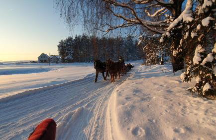 Apartament Pod Skarpą z balią Wieżyca - Foto 6