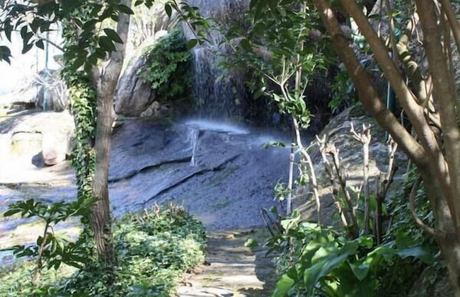 Quinta Dona Adelaide - Foto 33