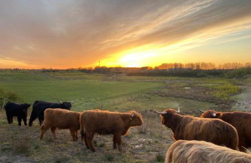Ferienwohnung Birkenhof - Urlaub auf dem Bauernhof mit Blick ins Grüne - Foto 20