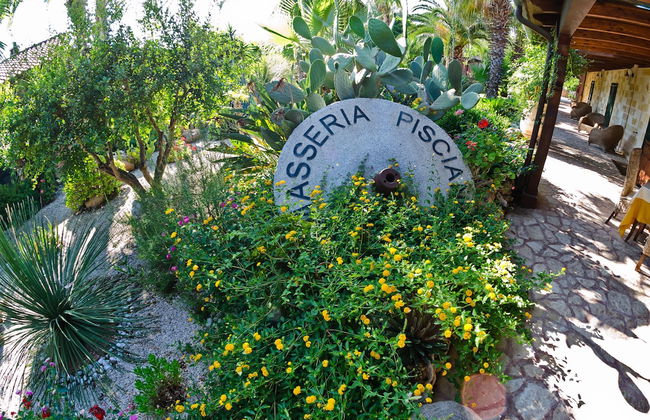 Masseria Pisciani - Photo 47