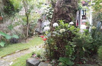 Muito espaço e natureza no meio da cidade - Foto 40