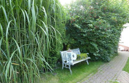 Fewo Störtebeker - Ralswiek OT Gnies - Foto 4