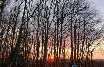 La Lisiere Du Bois - Foto 45