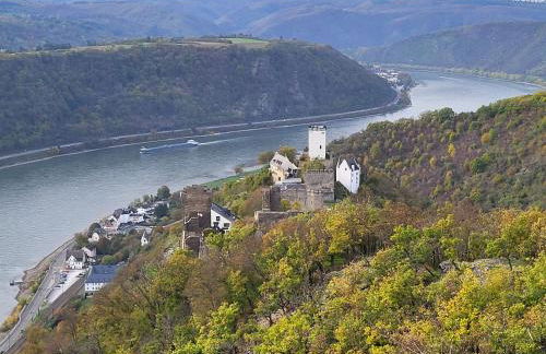 Rheinferien - Foto 24