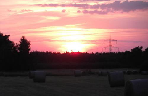 Amselgarten - Foto 61