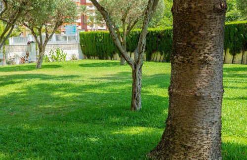 LaraMar Solo Familias Apartamento vistas al mar - Foto 22