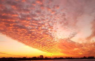 Bungalow bei Emma - Foto 23