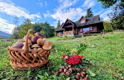 Górskie Siedlisko - 3 Chaty - Foto 42