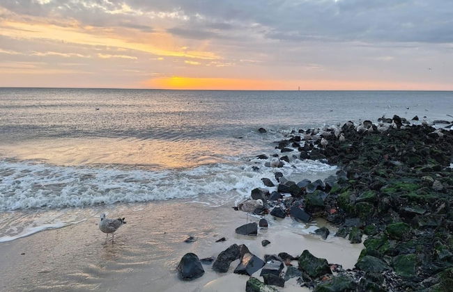 Appartement in Westerland auf Sylt - Foto 39