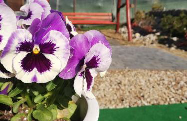 Domek JuKa - Foto 35