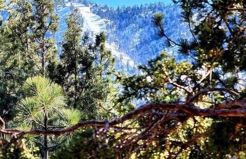 Bear Escapes II Affordable Luxury Cabin - Foto 37