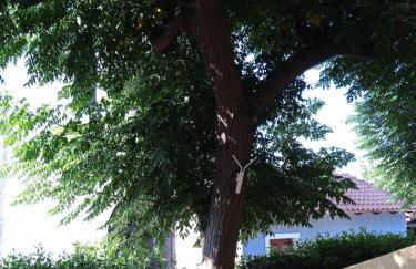 Natalie rooms 3 Cozy and cool room - Foto 19