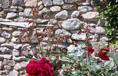 Les Gites du Mont Ventoux - Foto 71