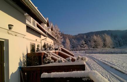 Wysokie Łąki domki w górach - Foto 53