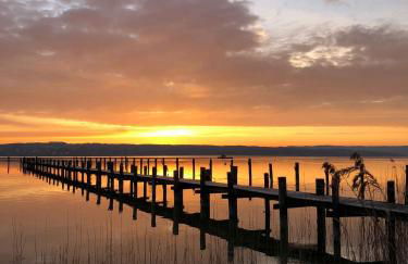 FeWo Happy Place in traumhafter Lage See nah - Foto 33