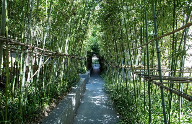 Ascott Heng Shan Shanghai - Foto 43