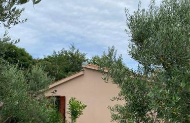 Stancija Marusi - Foto 10