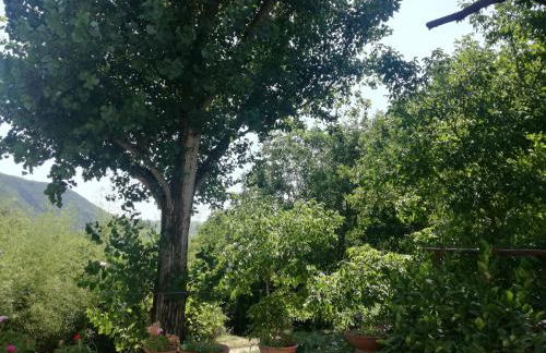 Agriturismo Sant'Erasmo - Foto 56