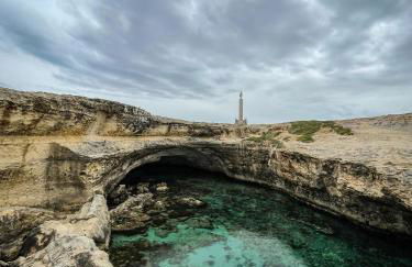 Masseria Bosco Mazza - Foto 10