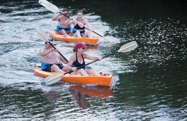 South Coast Horizons - Photo 79