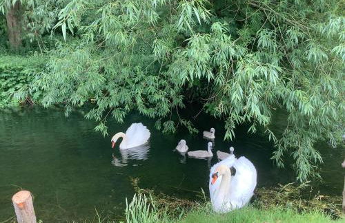 Bellows Mill - Photo 11