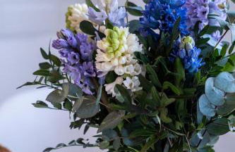 Top modernes Apartment am Zoo - Foto 24