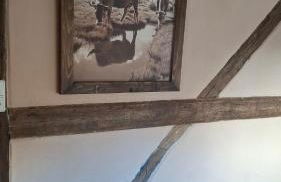 Ferienhaus Gut Haselbach im Erzgebirge - Foto 33