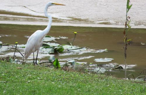 Cajun-Get Away - Foto 27