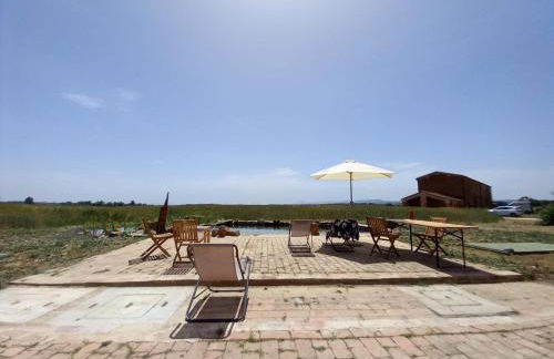 Agriturismo Podere Padolecchie - Azienda Agricola Passerini - Foto 17