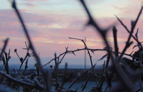 The Haybarn - Foto 47