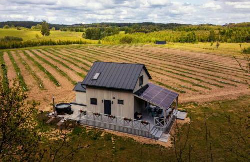 Okno na winnicę - Foto 1