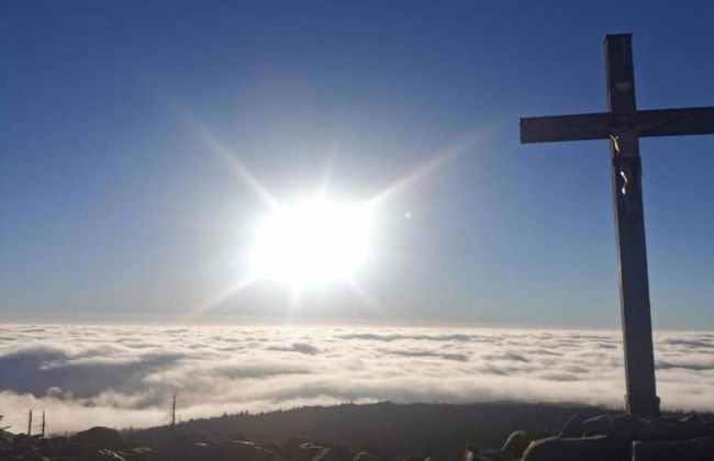 Familienurlaub im Bayerischen Wald - Foto 23