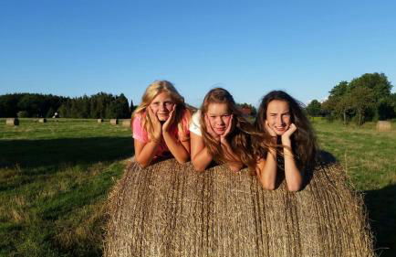 Wohlfühlurlaub auf dem Reit- und Ferienhof Goldberg - Foto 63