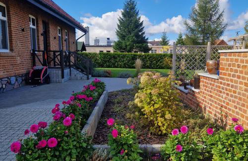 Stara Szkola - Wielki Medromierz 59 - Foto 6