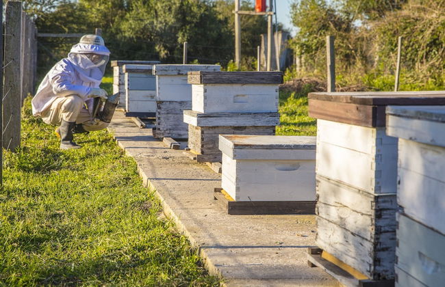 Estancia San Agustín - Foto 40